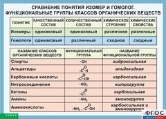 Таблица. Сравнение понятий изомер и гомолог. Функциональные группы классов органических веществ. - fgospostavki.ru - Яблоновский