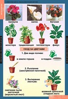 Комплект таблиц. Окружающий мир 1 класс. - fgospostavki.ru - Яблоновский