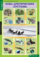 Комплект таблиц. Окружающий мир 4 класс. - fgospostavki.ru - Яблоновский