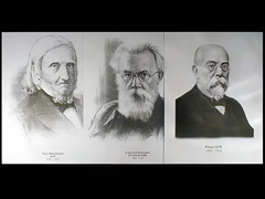 Портреты биологов (26 штук, формат А3) - fgospostavki.ru - Яблоновский