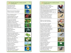 Комплект карточек (10) "Обучающий калейдоскоп. Природа" - fgospostavki.ru - Яблоновский