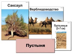 Модель-аппликация "Природные зоны России" (ламинированная) - fgospostavki.ru - Яблоновский