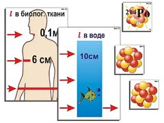 Модель-аппликация "Явление радиоактивности" (ламинированная) - fgospostavki.ru - Яблоновский