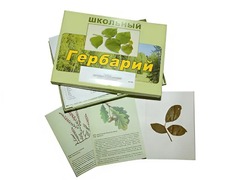 Гербарий "Дикорастущие растения" (30 видов, с иллюстрациями) - fgospostavki.ru - Яблоновский