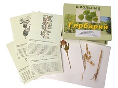 Гербарий "Систематика растений. Семейство Бобовые. Злаки" (раздаточный) - fgospostavki.ru - Яблоновский