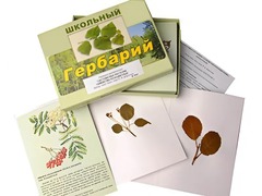 Гербарий "Систематика растений. Семейство Розоцветные" (раздаточный) - fgospostavki.ru - Яблоновский