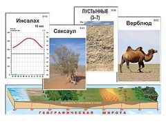 Модель-аппликация "Природные зоны" - fgospostavki.ru - Яблоновский