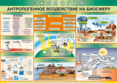 Таблица "Антропогенное воздействие на биосферу" (100х140 сантиметров, винил) - fgospostavki.ru - Яблоновский
