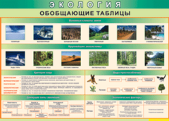 Таблица "Экология. Обобщающие таблицы" (100х140 сантиметров, винил) - fgospostavki.ru - Яблоновский