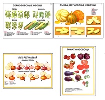 Плакаты ПРОФТЕХ "Ассортимент овощных культур" (12 пл, винил, 70х100) - fgospostavki.ru - Яблоновский