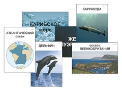 Модель-аппликация "Океаны. Знакомство" (ламинированная) - fgospostavki.ru - Яблоновский