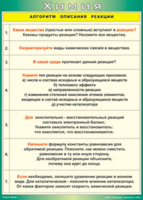 Таблица "Алгоритм описания реакции" (100х140 сантиметров, винил) - fgospostavki.ru - Яблоновский