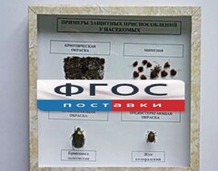 Коллекция энтомологическая "Примеры защитных приспособлений у насекомых" - fgospostavki.ru - Яблоновский