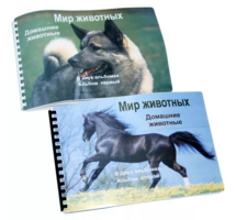Пособие для слабовидящих - Домашние животные - fgospostavki.ru - Яблоновский