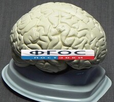 Модель "Мозг в разрезе" (белый) - fgospostavki.ru - Яблоновский