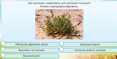 Интерактивные курсы. Окружающий мир 3 класс . Базовый. - fgospostavki.ru - Яблоновский