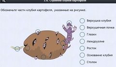 Интерактивные курсы. Биология 6 класс. Расширенный - fgospostavki.ru - Яблоновский