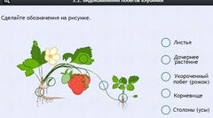 Интерактивные курсы. Биология 7 класс. Расширенный. - fgospostavki.ru - Яблоновский