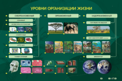 Электрифицированный стенд "Уровни организации жизни" - fgospostavki.ru - Яблоновский