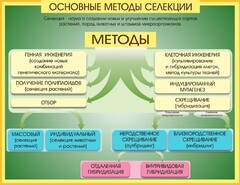 Стенд "Методы селекции и биотехнологии" - fgospostavki.ru - Яблоновский