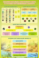 Стенд "Классификация животного мира" - fgospostavki.ru - Яблоновский