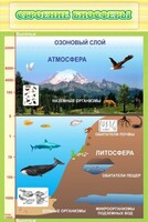 Стенд "Строение биосферы" - fgospostavki.ru - Яблоновский