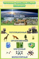 Стенд "Уровни организации живого" - fgospostavki.ru - Яблоновский