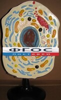 Модель "Клетка животного" - fgospostavki.ru - Яблоновский