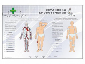 Электрифицированный стенд "Остановка кровотечения" - fgospostavki.ru - Яблоновский