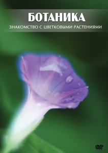 DVD "Ботаника. Знакомство с цветковыми растениями" - fgospostavki.ru - Яблоновский