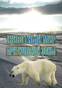 DVD "Животный мир Арктической зоны" - fgospostavki.ru - Яблоновский