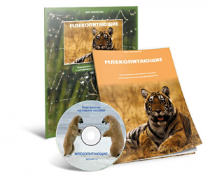 Электронное наглядное пособие «Млекопитающие» - fgospostavki.ru - Яблоновский