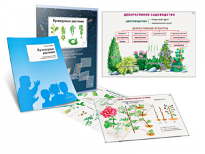 Комплект кодотранспарантов "Культурные растения" - fgospostavki.ru - Яблоновский