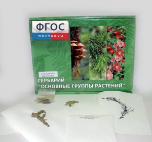 Гербарий "Основные группы растений" (52 листа) - fgospostavki.ru - Яблоновский