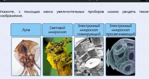 Интерактивные курсы. Биология 5 класс. Расширенный - fgospostavki.ru - Яблоновский