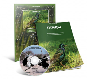 Электронное наглядное пособие «Птицы» - fgospostavki.ru - Яблоновский