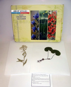 Гербарий "Ядовитые растения" (20 видов) - fgospostavki.ru - Яблоновский