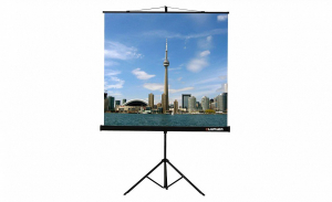 Проекционный экран на штативе Lumien Eco View (LEV-100105) 160x160 см - fgospostavki.ru - Яблоновский