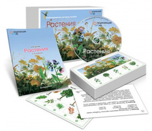 Комбинированное наглядное пособие «Растения» - fgospostavki.ru - Яблоновский
