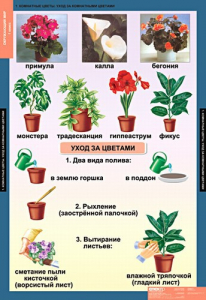 Комплект таблиц. Окружающий мир 1 класс. - fgospostavki.ru - Яблоновский