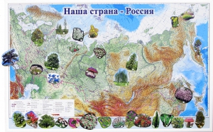 Магнитные карточки "Растения" - fgospostavki.ru - Яблоновский