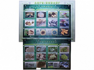 Комбинированный модульный комплекс "Лого-биолог" - fgospostavki.ru - Яблоновский
