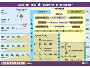 Таблица демонстрационная "Сравнение понятий изомер и гомолог" (винил 70x100) - fgospostavki.ru - Яблоновский