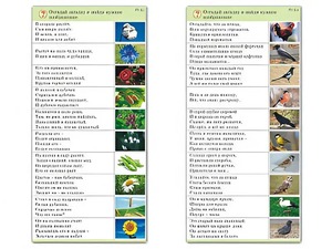 Комплект карточек (10) "Обучающий калейдоскоп. Природа" - fgospostavki.ru - Яблоновский