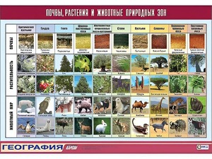 Таблица демонстрационная "Почвы, растения и животные природных зон" (винил 70*100) - fgospostavki.ru - Яблоновский