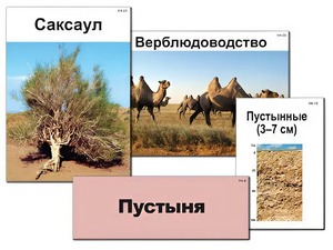 Модель-аппликация "Природные зоны России" (ламинированная) - fgospostavki.ru - Яблоновский
