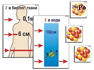 Модель-аппликация "Явление радиоактивности" (ламинированная) - fgospostavki.ru - Яблоновский
