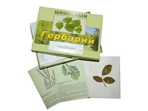 Гербарий "Дикорастущие растения" (30 видов, с иллюстрациями) - fgospostavki.ru - Яблоновский