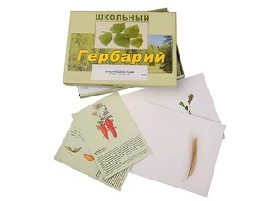 Гербарий "Культурные растения" (30 видов, с иллюстрациями) - fgospostavki.ru - Яблоновский