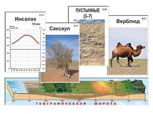 Модель-аппликация "Природные зоны" - fgospostavki.ru - Яблоновский
